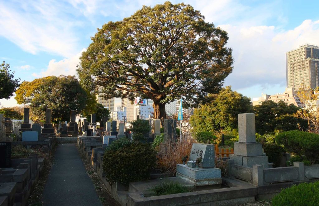 Yanaka Cemetery in Tokyo, Japan