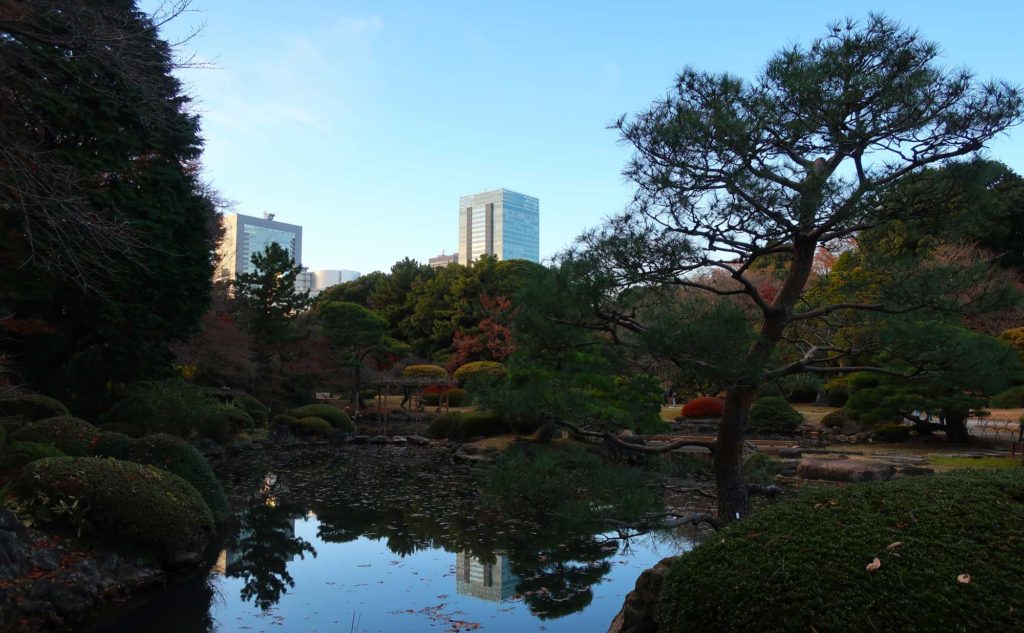 Shinjuku Gyoen National Garden in Tokyo, Japan