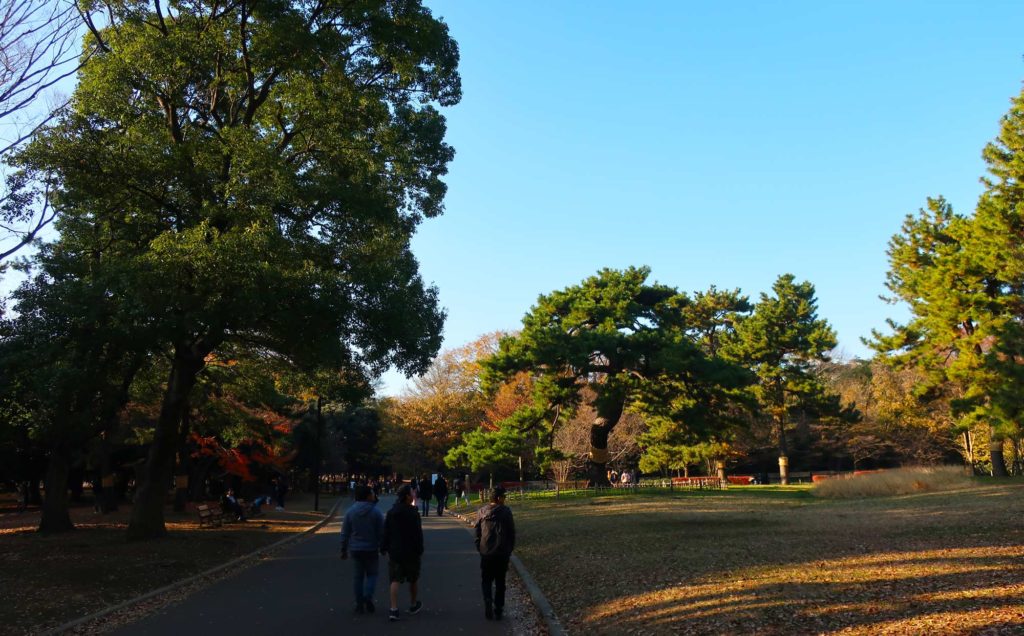 Yoyogi Park in Tokyo, Japan