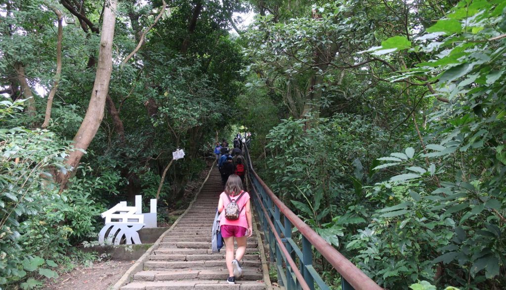 The Elephant Trail, Taipei