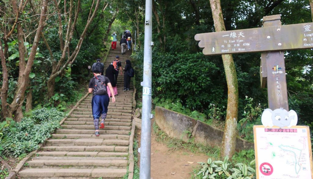 The Elephant Trail, Taipei
