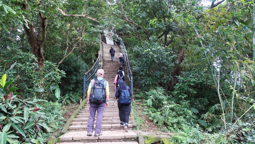 The Elephant Trail, Taipei