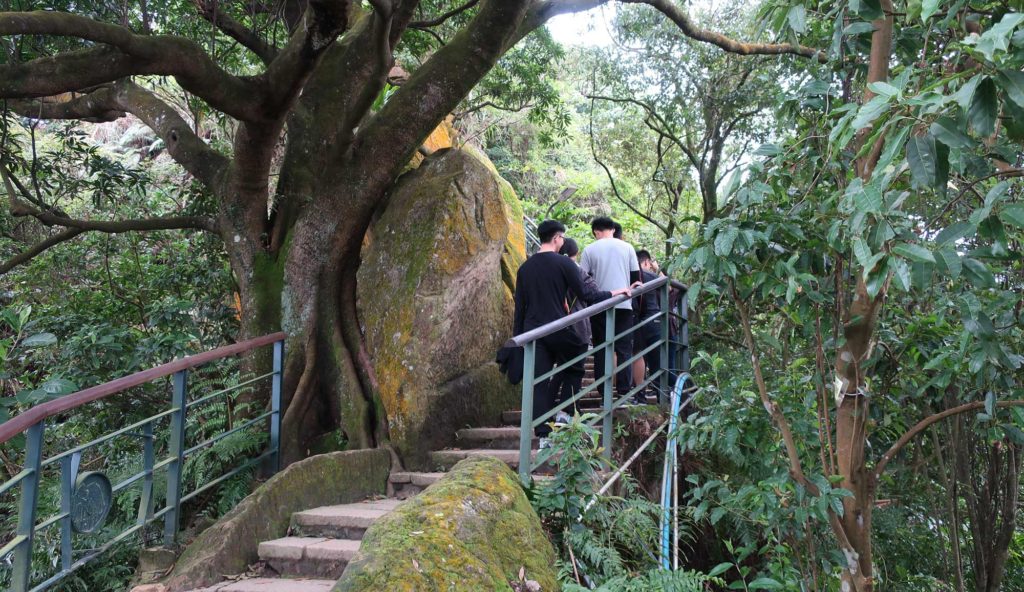 The Elephant Trail, Taipei