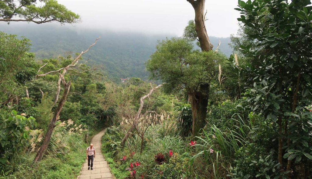 The Elephant Trail, Taipei