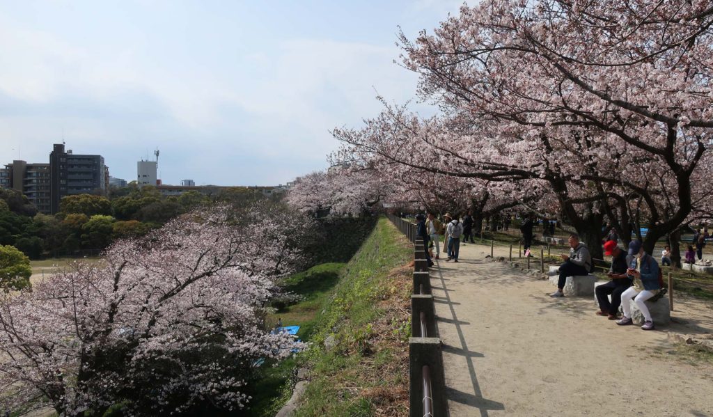 Fukuoka Castle Ruins