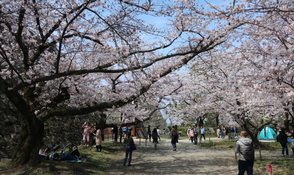 Fukuoka Castle Ruins