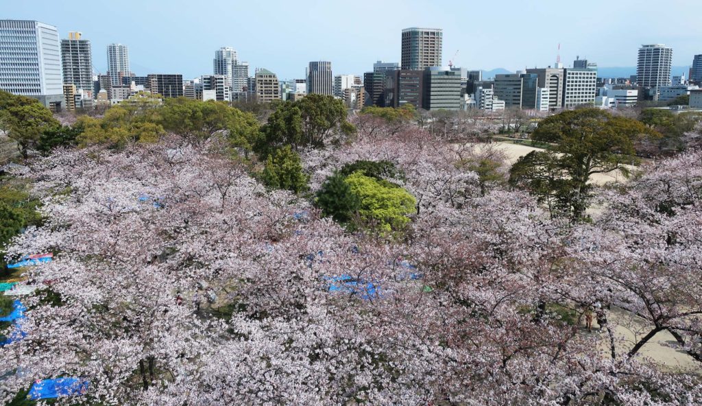 Fukuoka Castle Ruins
