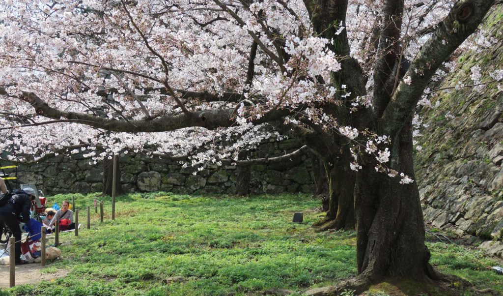 Fukuoka Castle Ruins