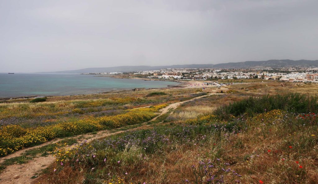 Paphos Archaeological Park