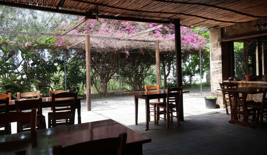 The Seven St. Georges