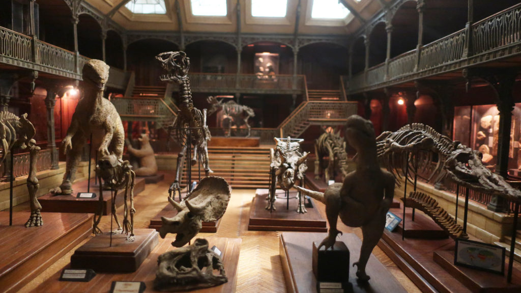 Cinema and Miniature Museum