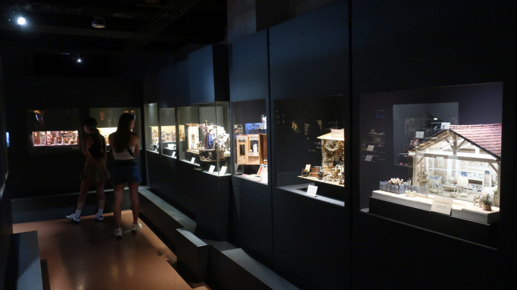 Cinema and Miniature Museum